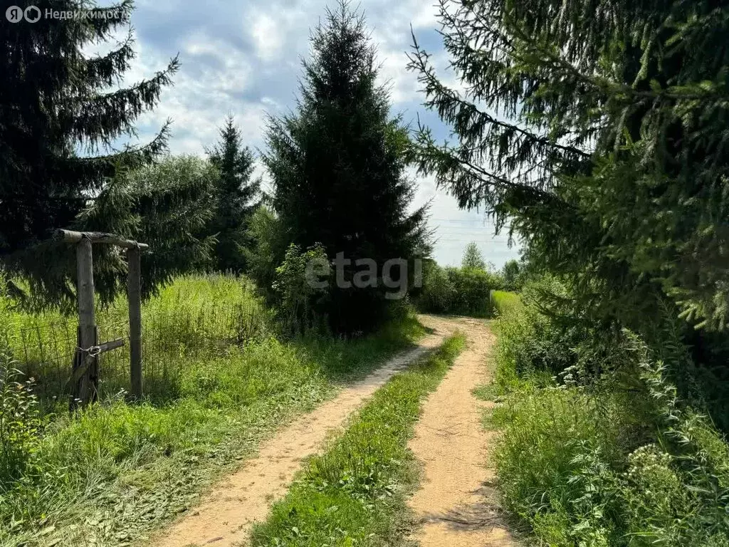 Участок в Нижегородская область, Городецкий муниципальный округ, ... - Фото 0