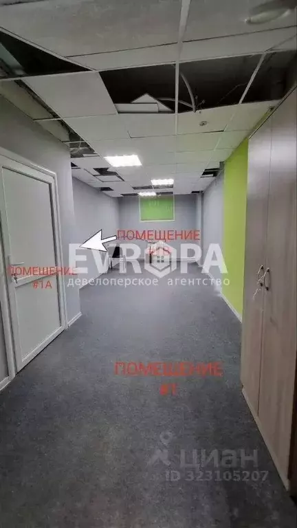 Офис в Ульяновская область, Ульяновск ул. Терешковой, 6Б (115 м) - Фото 1