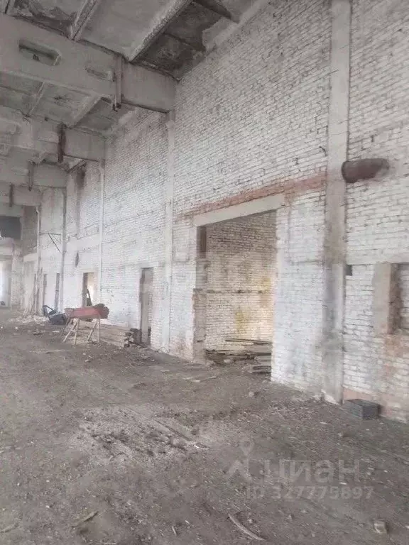 Помещение свободного назначения в Алтайский край, Красногорский район, ... - Фото 1