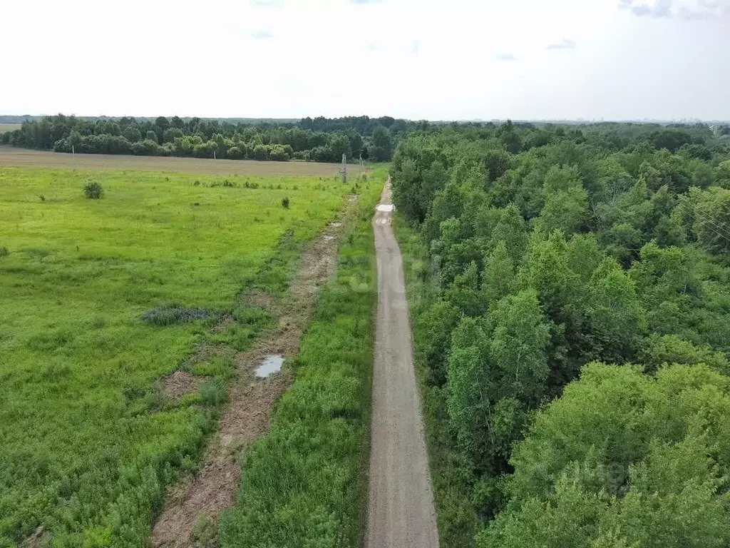 Участок в Хабаровский край, Хабаровск  (10.5 сот.) - Фото 2