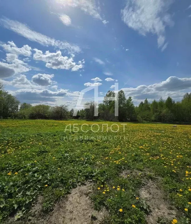 Участок в Московская область, Сергиево-Посадский городской округ, д. ... - Фото 1