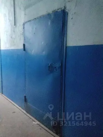 Помещение свободного назначения в Нижегородская область, Заволжье г. ... - Фото 0