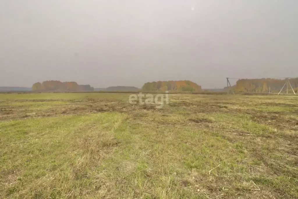 Участок в Тюменская область, Тюменский район, с. Горьковка  (15.0 ... - Фото 0