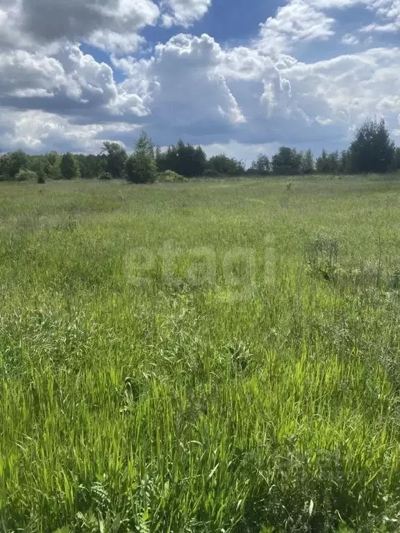 Участок в Липецкая область, с. Доброе ул. Советская, 125 (30.0 сот.) - Фото 1