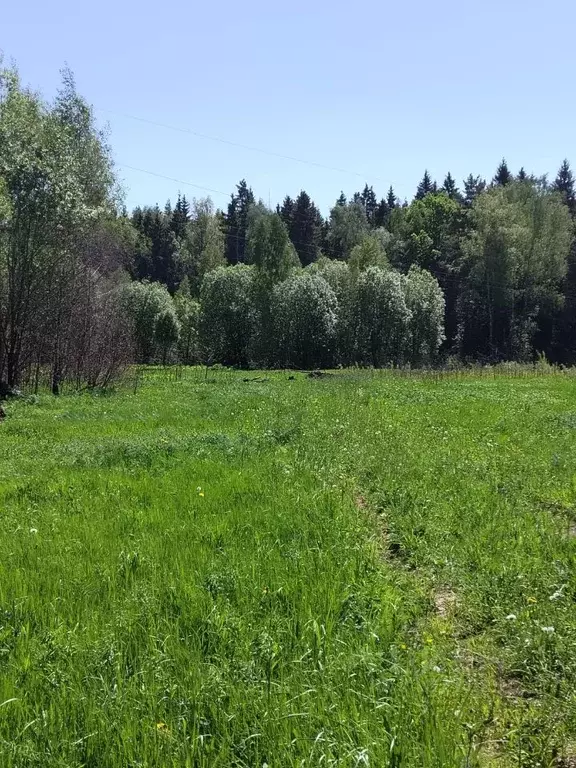 Участок в Московская область, Наро-Фоминский городской округ, Нара СТ  ... - Фото 0