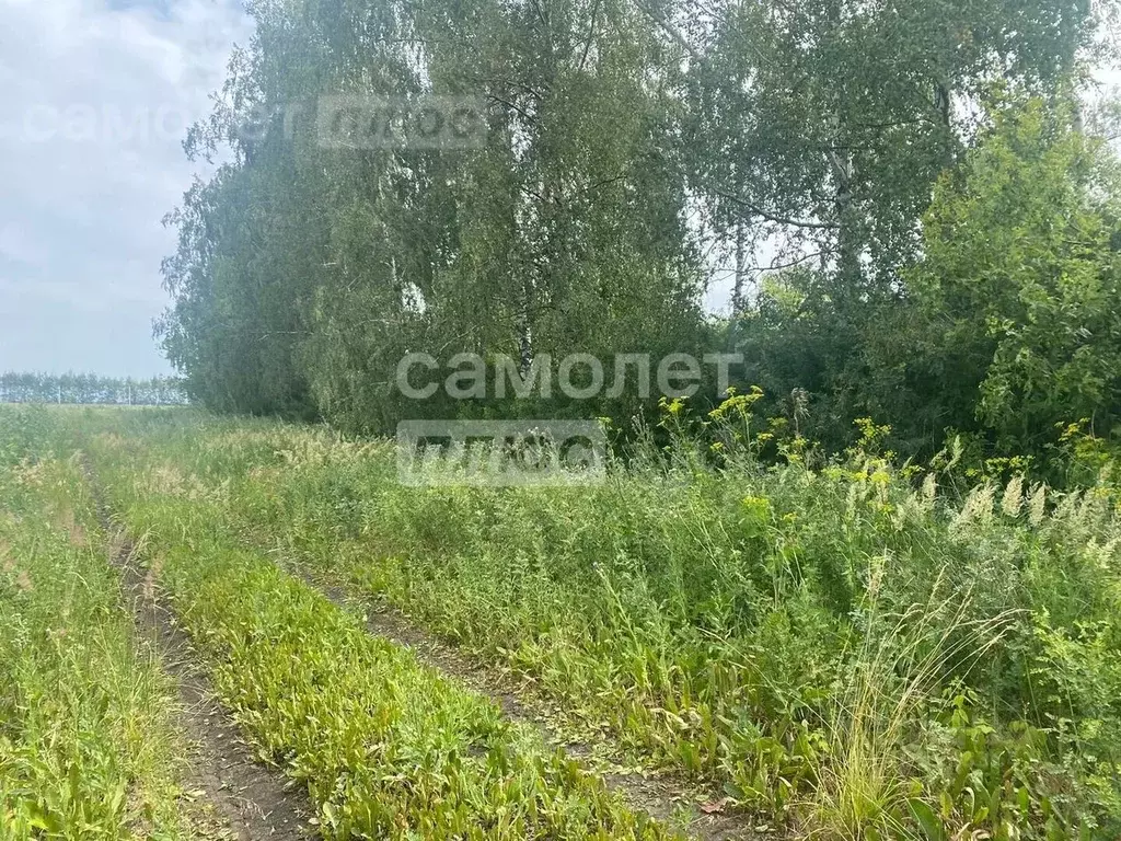 Участок в Тамбовская область, Тамбовский муниципальный округ, д. ... - Фото 0