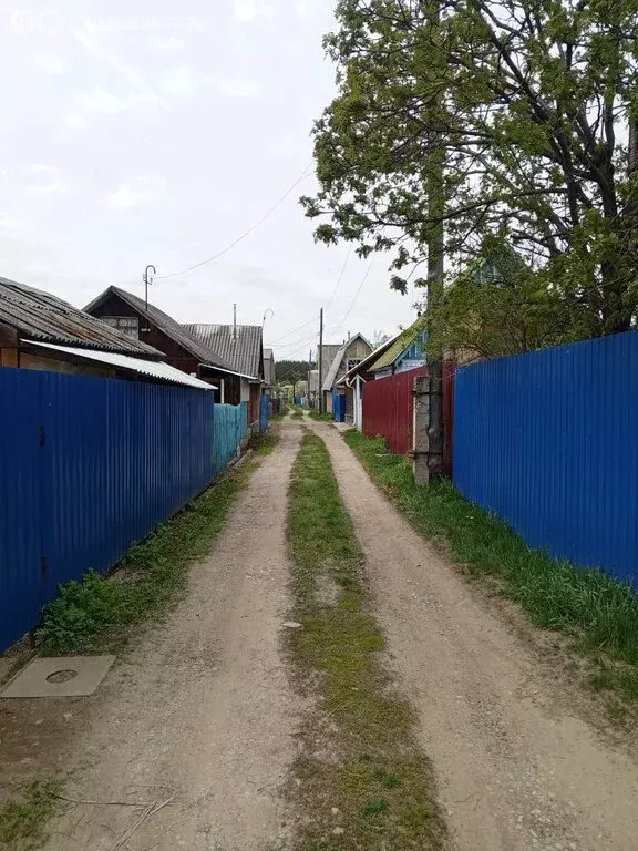 Участок в Зеленогорск, садоводство № 1, 24-я улица (5 м) - Фото 1