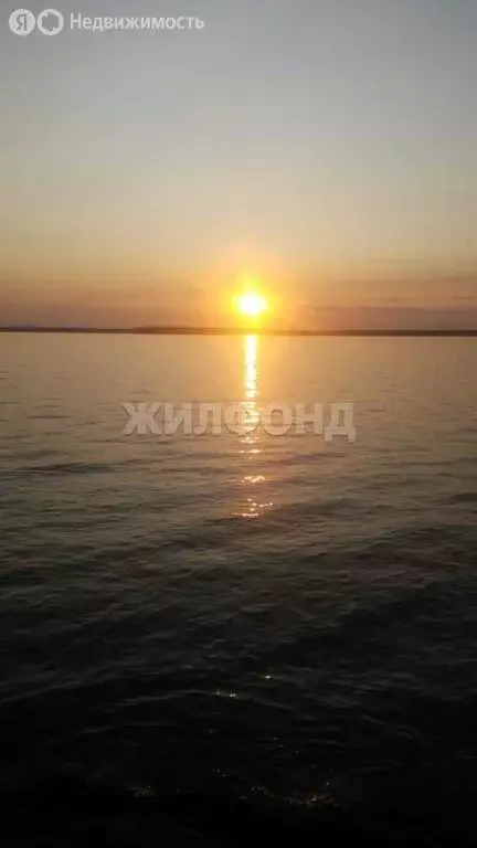 Участок в Ордынский район, деревня Ерестная, Береговая улица (28.5 м) - Фото 1