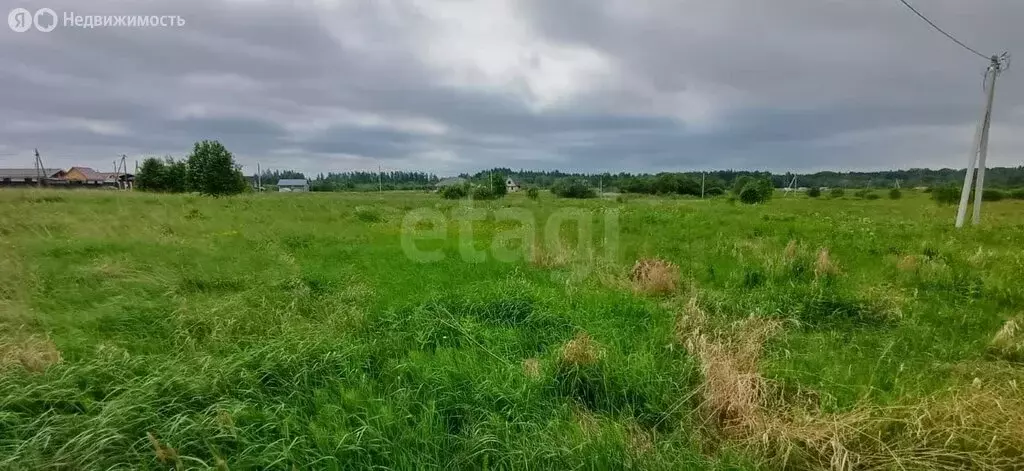 Участок в Вологодская область, Шекснинский район, деревня Нифантово ... - Фото 1