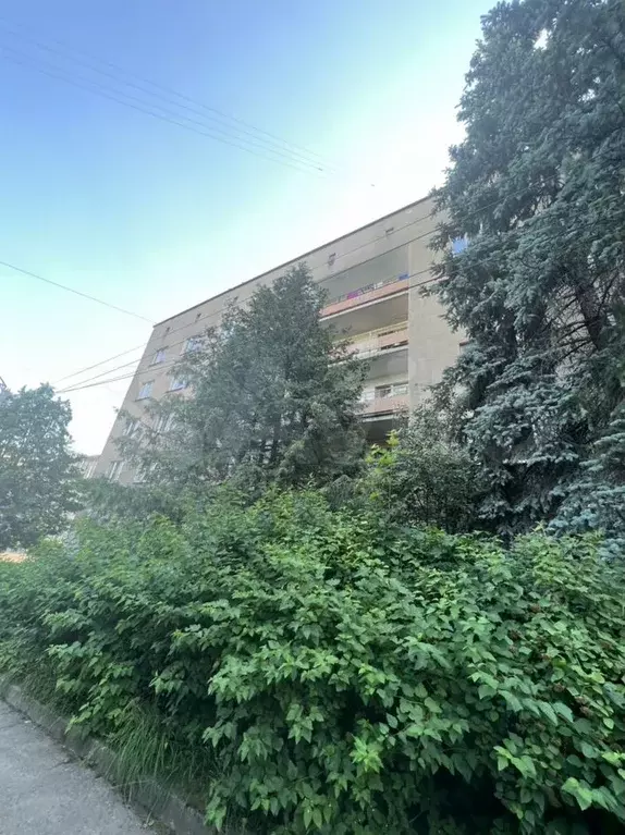 Комната 11,8 м в 1-к., 3/5 эт. - Фото 0