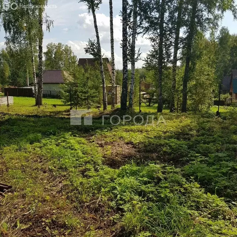 Участок в Барышевский сельсовет, ДНТ Лазурный Берег, 170 (8.12 м) - Фото 0