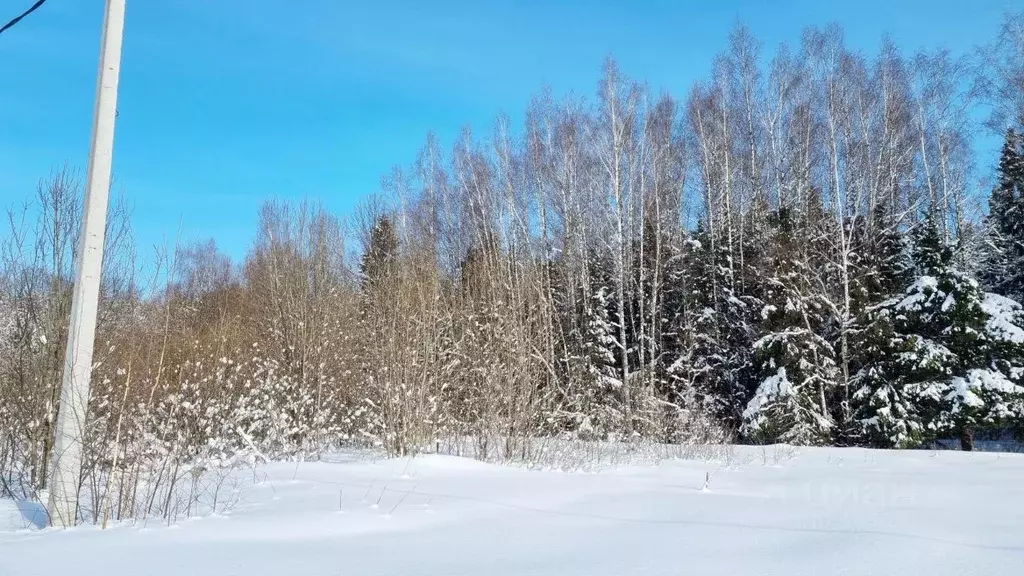 Участок в Московская область, Пушкинский городской округ, Дарьино ... - Фото 0