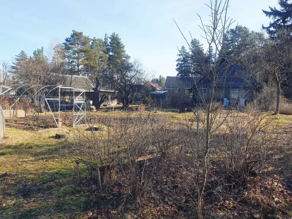 Дом в Псковская область, Псковский район, Ядровская волость, д. ... - Фото 2
