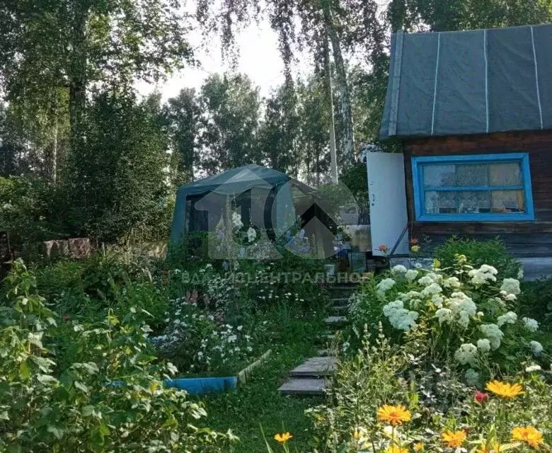 Дом в Новосибирская область, Мошковский район, Жилстроевец СНТ 99 (40 ... - Фото 0
