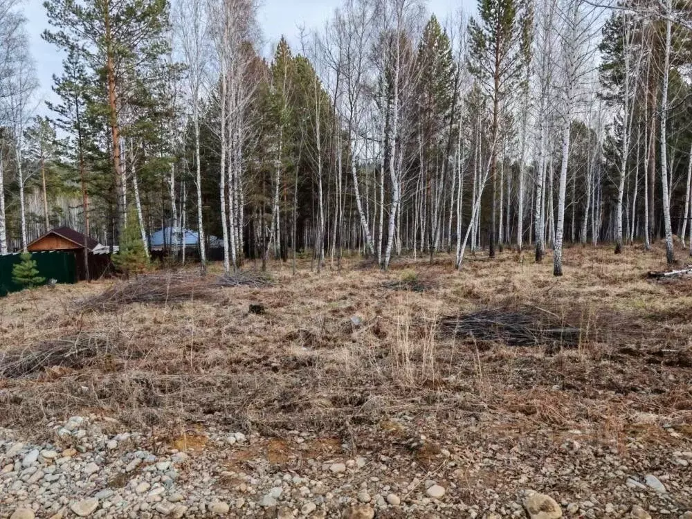 Участок в Иркутская область, Иркутский муниципальный округ, Маркова ... - Фото 1