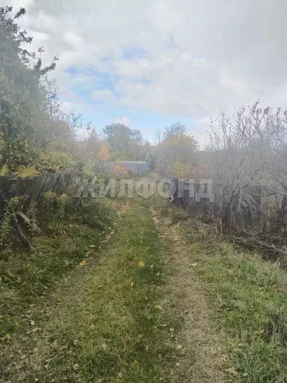 Участок в Брянская область, Брянский район, пос. Мичуринский ул. ... - Фото 1