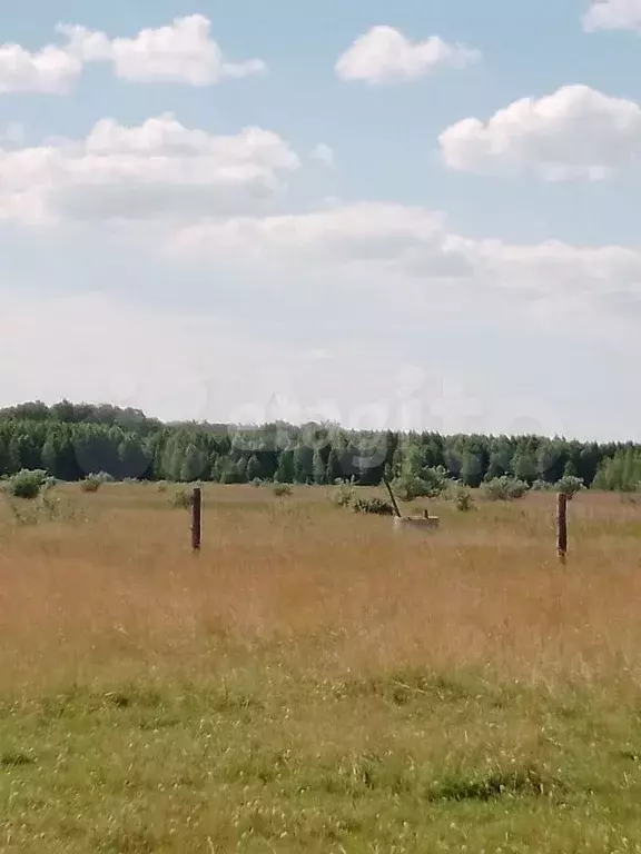 Участок 10 сот. (ИЖС) - Фото 1