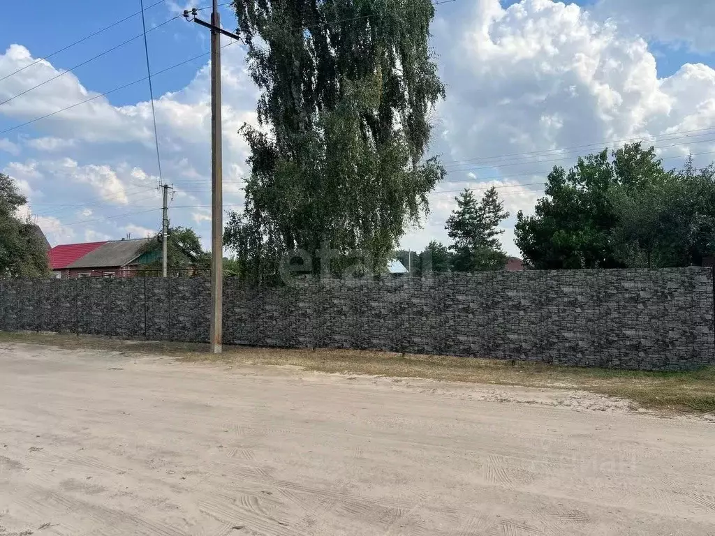 Участок в Саратовская область, Балашовский район, с. Репное  (11.0 ... - Фото 2