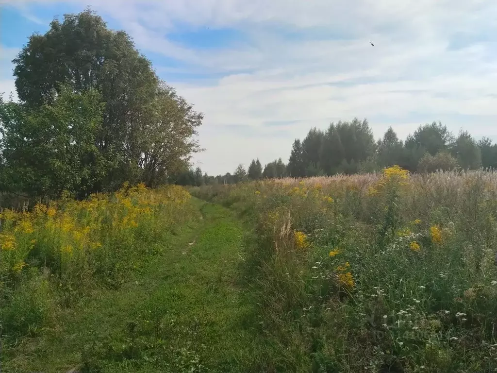 Участок в Владимирская область, Камешковский район, Второвское ... - Фото 0