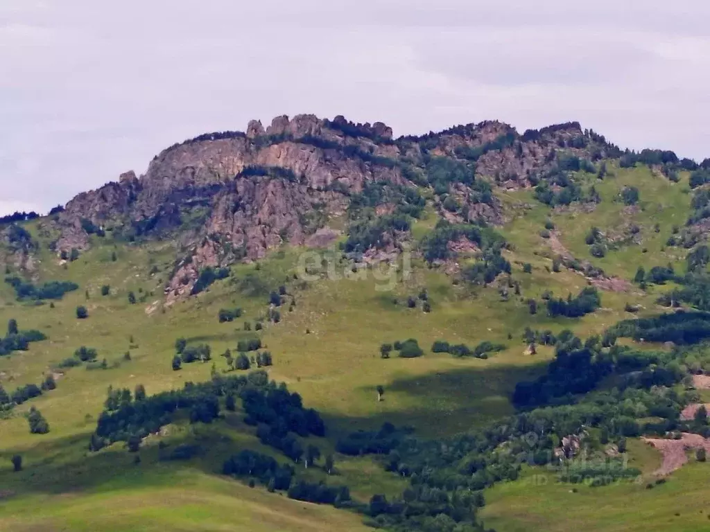 Участок в Алтайский край, Алтайский район, Айский сельсовет, с. Ая  ... - Фото 1