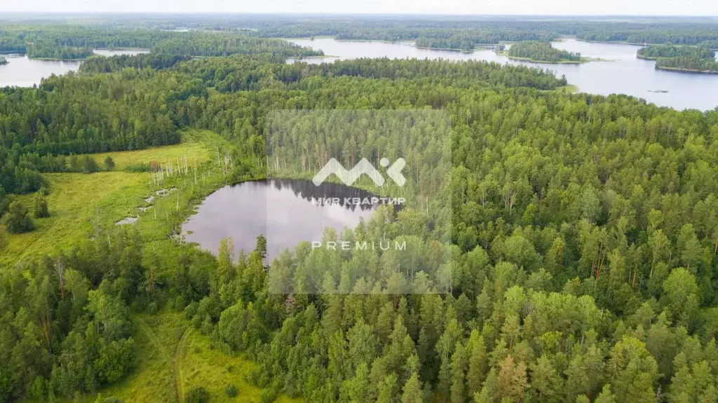 Участок в Ленинградская область, Приозерский район, Мельниковское ... - Фото 0