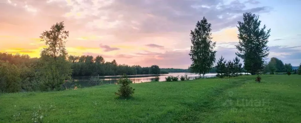 Участок в Новосибирская область, Новосибирский район, Кубовинский ... - Фото 1