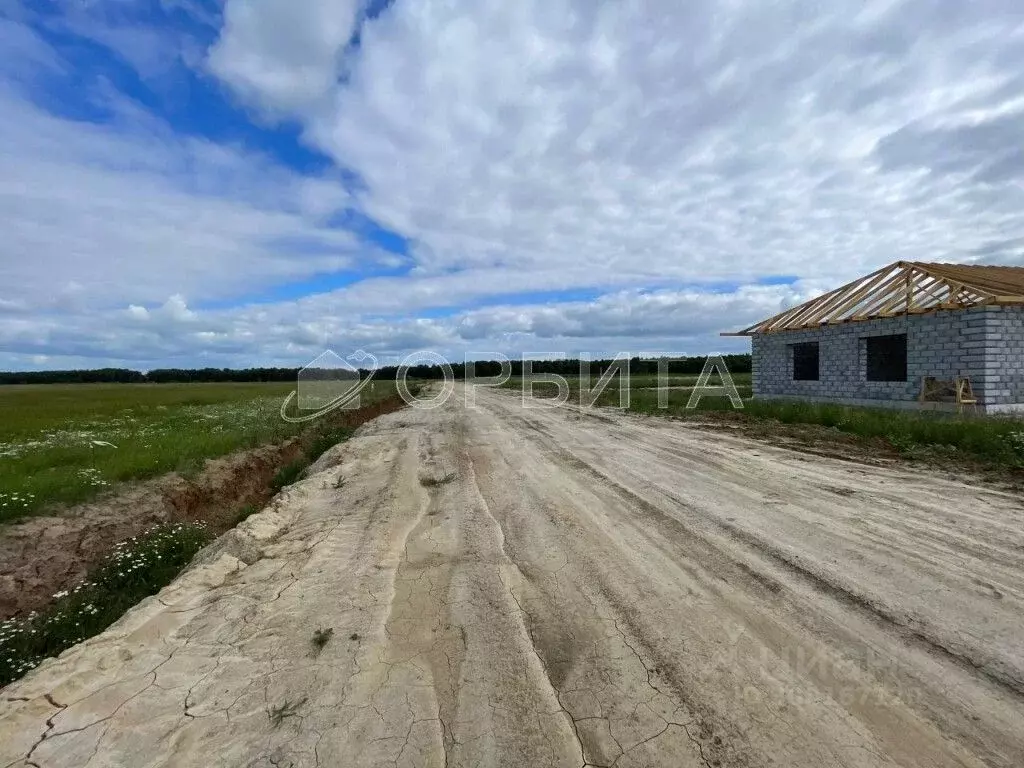 Участок в Тюменская область, Тюменский район, Новокаменский кп  (6.1 ... - Фото 1