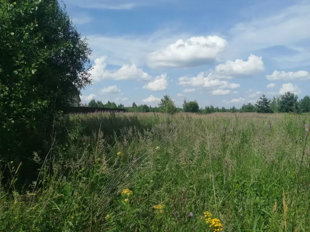 Участок в Московская область, Орехово-Зуевский городской округ, д. ... - Фото 0