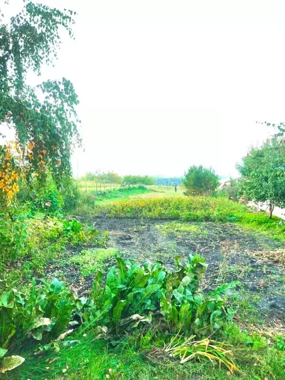 Участок в Алтайский край, Барнаул Зимовка кв-л, ул. Набережная (6.0 ... - Фото 2