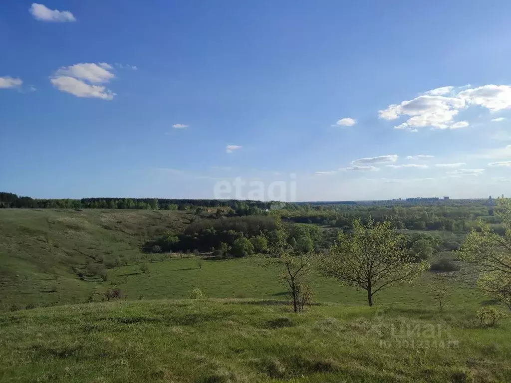 Участок в Тамбовская область, Тамбовский муниципальный округ, с. ... - Фото 0