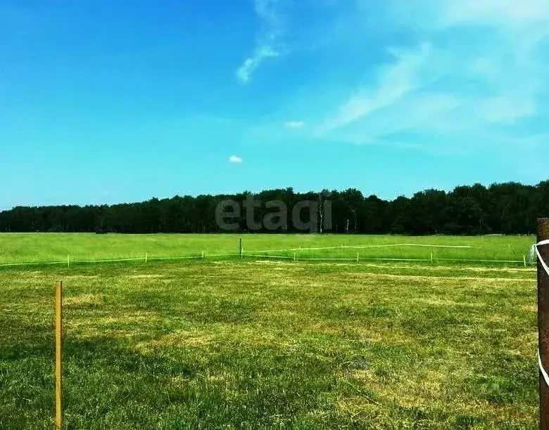 Участок в Башкортостан, Уфимский район, с. Миловка ул. Крымская (10.0 ... - Фото 2