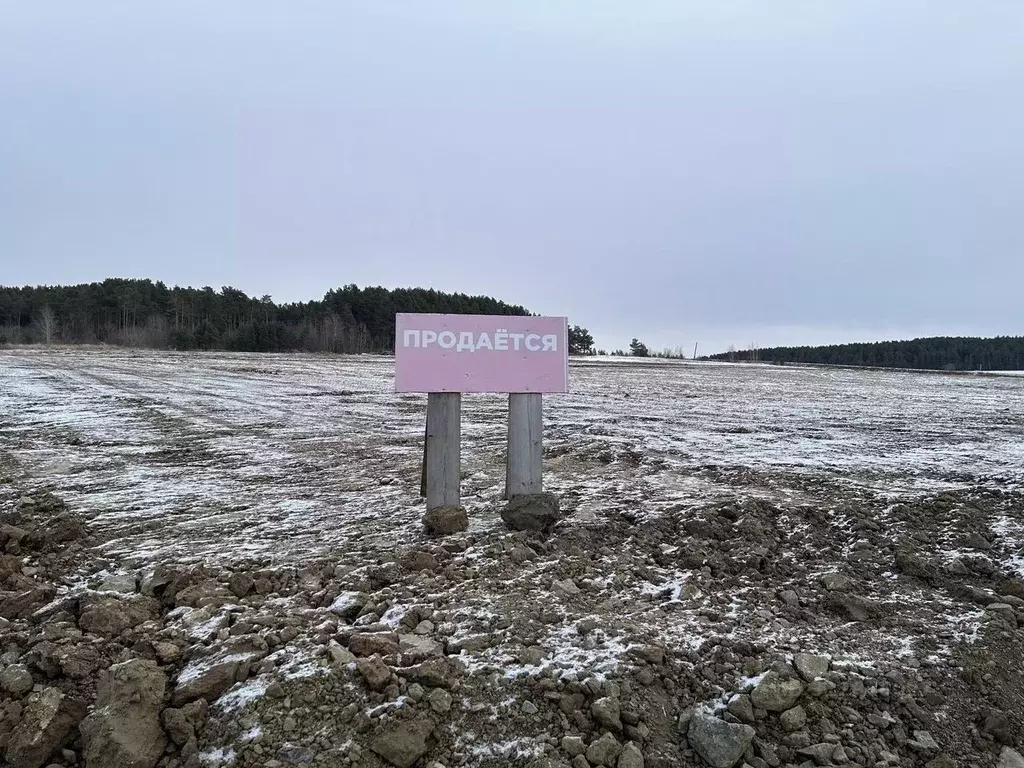 Участок в Свердловская область, Сысертский городской округ, с. ... - Фото 0