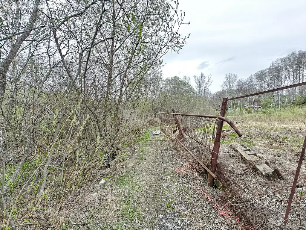 Участок в Новосибирск, территория СОСН 7-й Ветеран (8.2 м) - Фото 1
