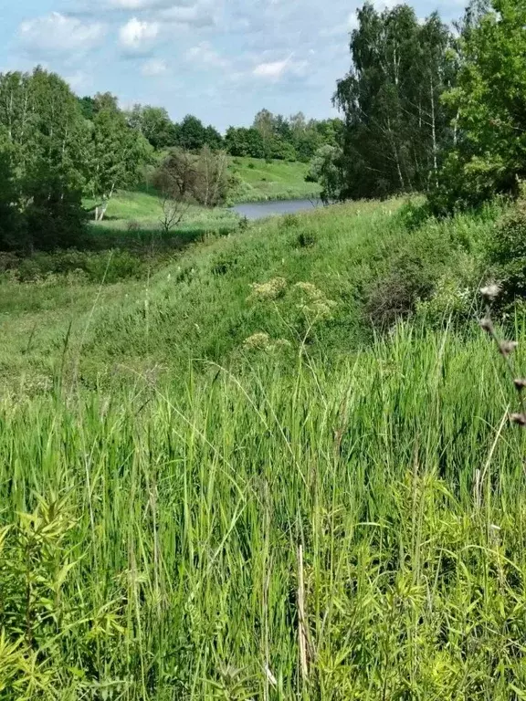 Участок в Тульская область, Тула городской округ, пос. Петелино  (20.0 ... - Фото 0