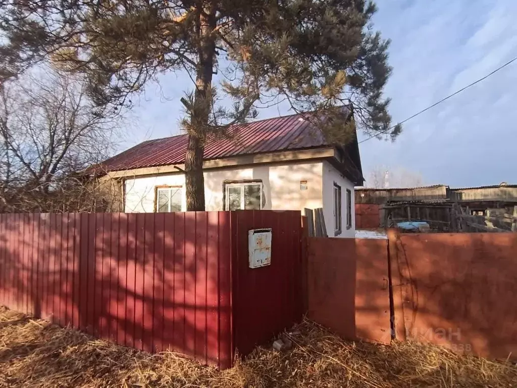 Дом в Амурская область, Серышевский муниципальный округ, с. Томское ... - Фото 0