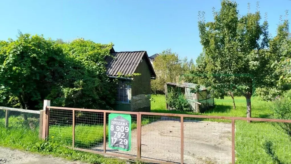 Участок в Калининградская область, Калининград Заря СНТ, ул. Лиловая ... - Фото 0