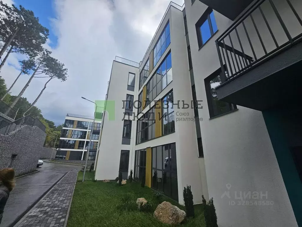 Студия Крым, Ялта муниципальный округ, Курпаты пгт  (31.8 м) - Фото 1