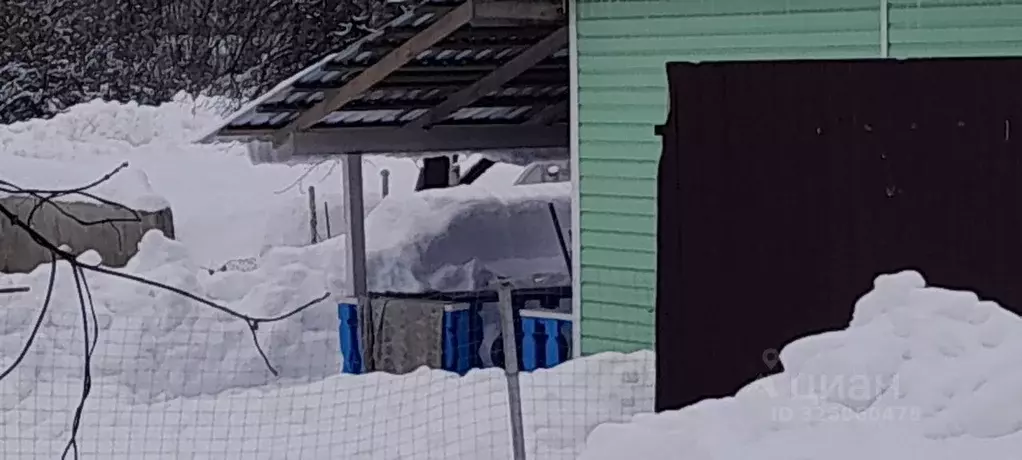 Дом в Нижегородская область, Балахна Колесная ул. (30 м) - Фото 1