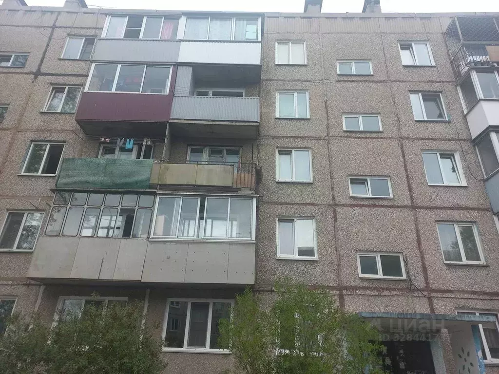 1-к кв. Хакасия, Черногорск ул. Калинина, 23 (31.0 м) - Фото 1