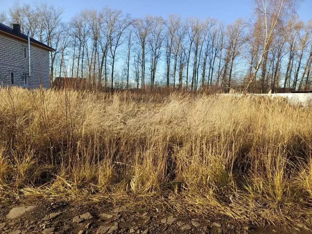 Участок в Московская область, Раменский городской округ, с. Никитское  ... - Фото 0