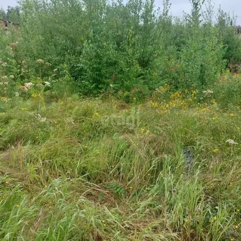 Участок в Ханты-Мансийский АО, Нижневартовский район, Излучинск ... - Фото 1