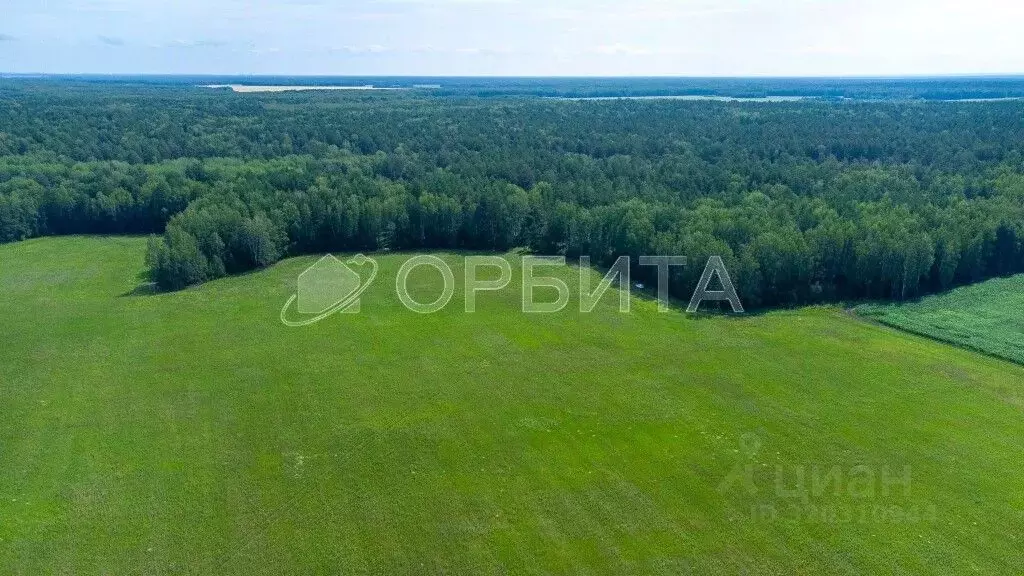 Участок в Тюменская область, Тюменский район, с. Кулига  (6.0 сот.) - Фото 1