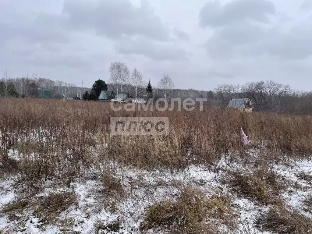 Участок в Новосибирская область, Новосибирский район, Новолуговской ... - Фото 0