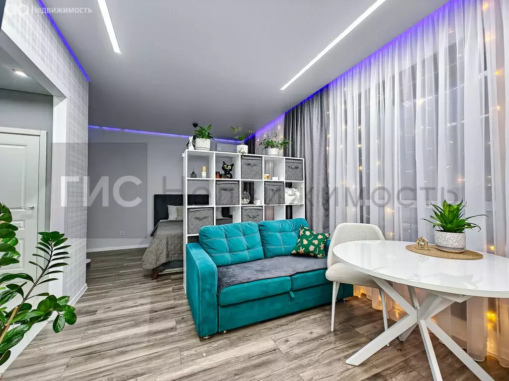 Квартира-студия: Новосибирск, Красный проспект, 323 (27.7 м) - Фото 2