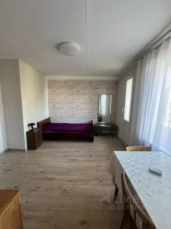 1-к кв. Санкт-Петербург Дачный просп., 29К4 (24.0 м) - Фото 0