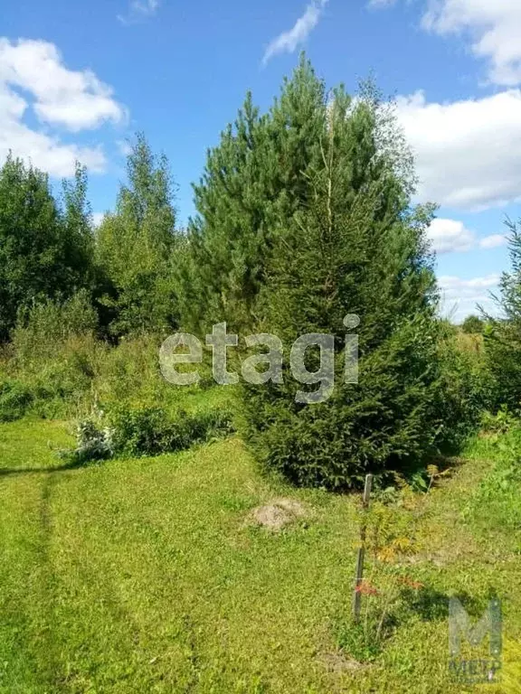 Участок в Свердловская область, Нижний Тагил муниципальный округ, с. ... - Фото 1