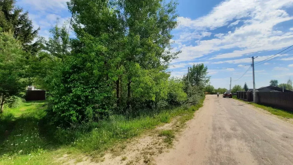 Участок в Брянская область, Брянский район, Нетьинское с/пос, Лесная ... - Фото 1