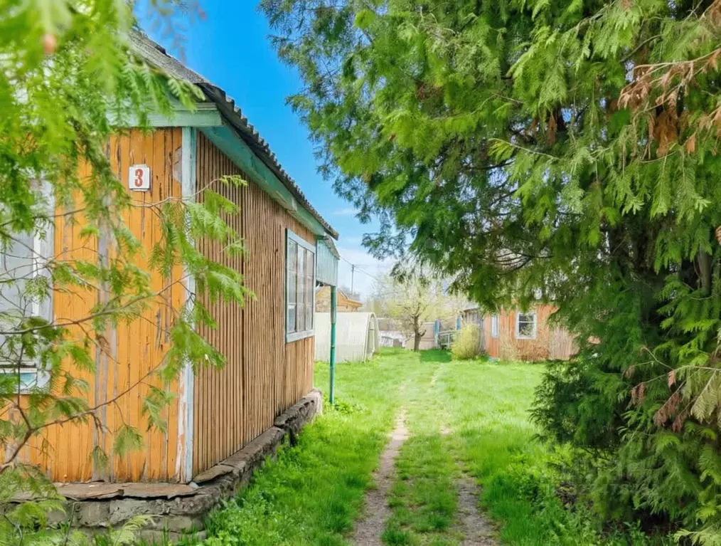 Дом в Псковская область, Псковский район, Тямшанская волость, ... - Фото 1