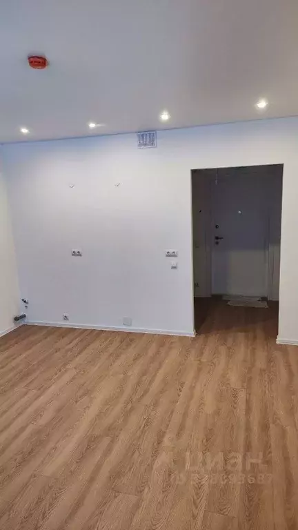 Студия Ленинградская область, Всеволожский район, Заневское городское ... - Фото 2