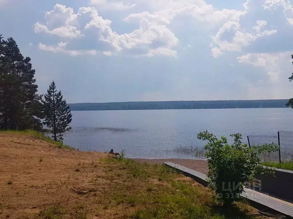 Участок в Ленинградская область, Приозерский район, Громовское с/пос, ... - Фото 0